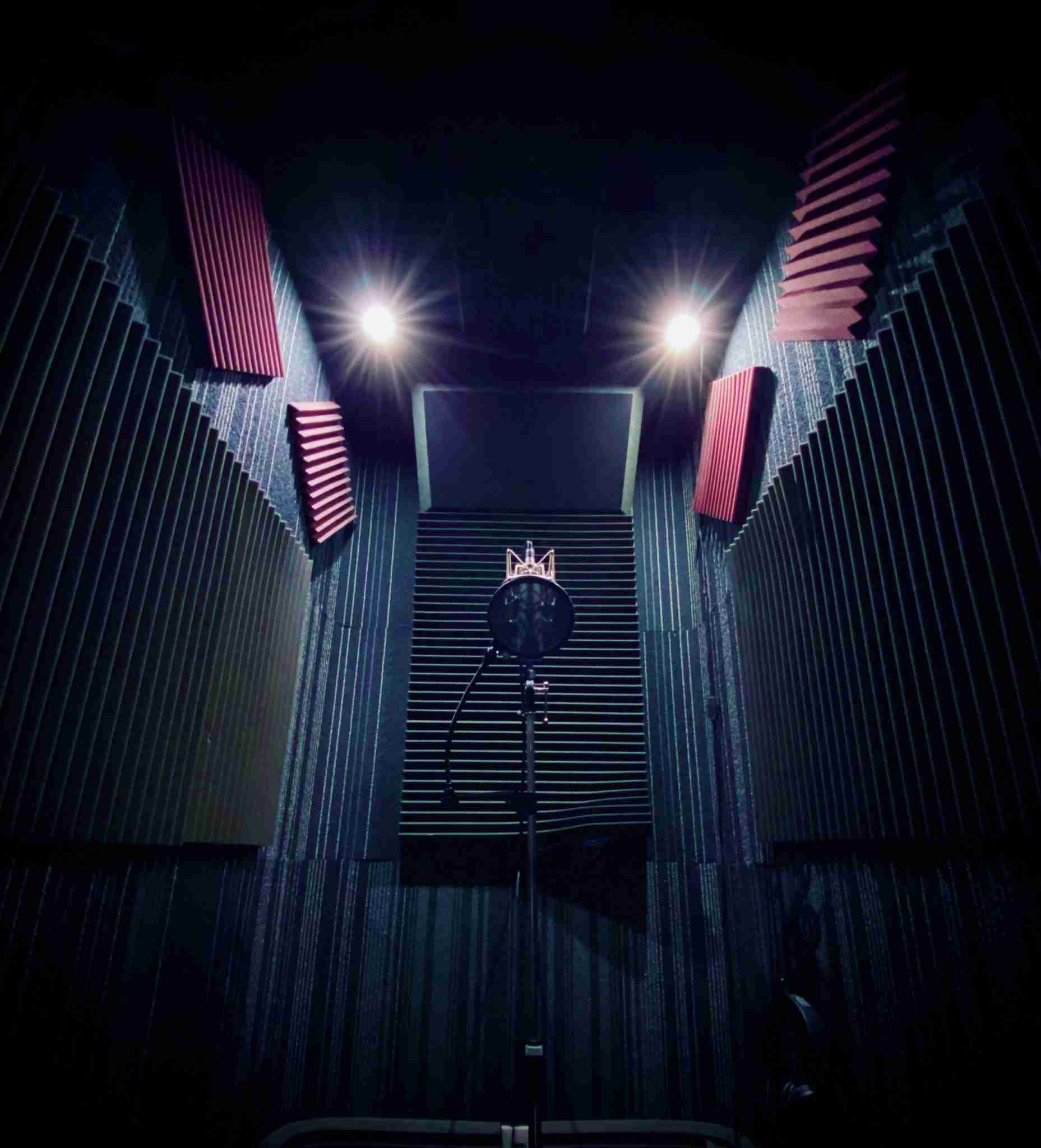 vocal